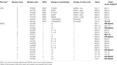 Meiosis-Based Laboratory Evolution of the Thermal Tolerance in Kluyveromyces marxianus